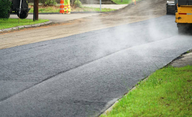 Best Professional Driveway Pavers  in Ilion, NY